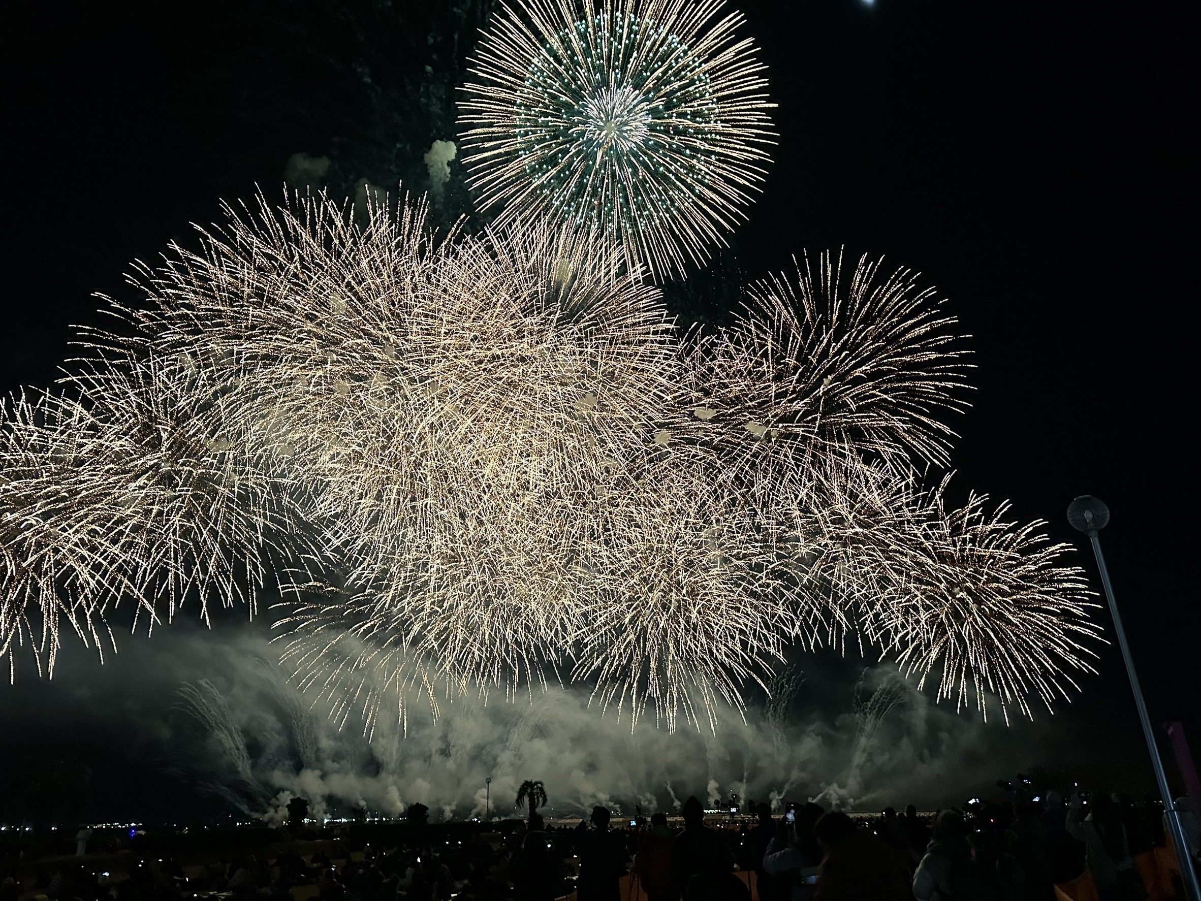 第5回花火甲子園 – 全国各地の花火師たちが蒲郡の地に大集結！一夜限り 